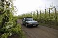 MG Bloesemrit op 24-4-2016 org. Jos&Marie-lou  (62)